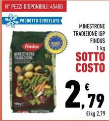 Findus - Minestrone Tradizione IGP