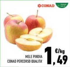 Conad - Mele Pinova Percorso Qualita'