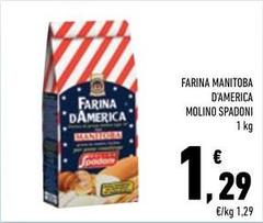 Molino spadoni - Farina Manitoba D'America