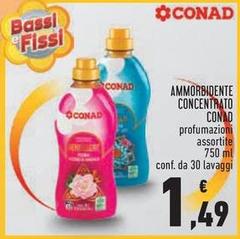 Bassi - Ammorbidente Concentrato