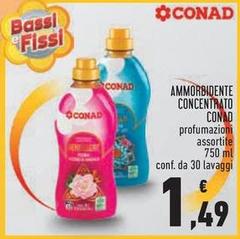 Bassi - Ammorbidente Concentrato