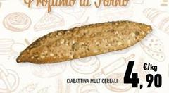 Ciabbina Multicereali