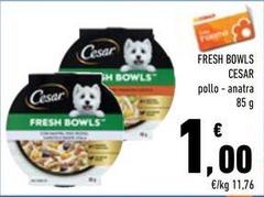 Cesar - Fresh Bowls