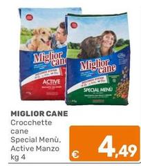 Crocchette Cane Special Menú, Active Manzo