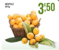 Nespole