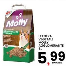 Molly - Lettiera Vegetale  Agglomerante