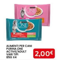 Purina - Alimenti Per Cani One Active/Adult