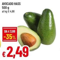 Avocado Hass
