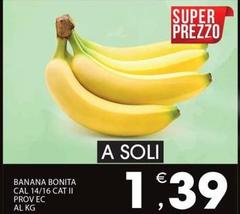 Bonita - Banana  Cal 14/16 Cat Ii Prov Ec