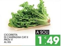 Cicorietta Di Campagna Cat Ii Prov It