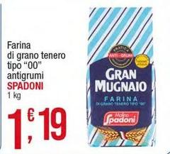 Molino spadoni - Farina Di Grano Tenero Tipo 