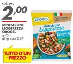 Orogel - Minestrone Leggerezza