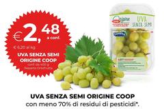 Semi - Uva Senza  Origine
