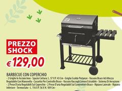 Barbecue Con Coperchio