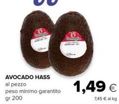 Avocado Hass