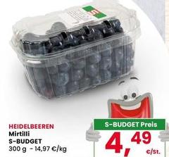 S budget - Mirtilli S-Budget