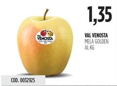 Val Venosta - Mela Golden