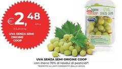 Semi - Uva Senza  Origine