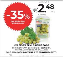 Semi - Uva Senza  Origine