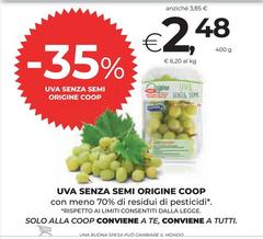 Semi - Uva Senza  Origine