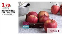 Fiore - Mele Morgana Fior