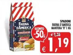 Molino spadoni - Farina D'America Manitoba 