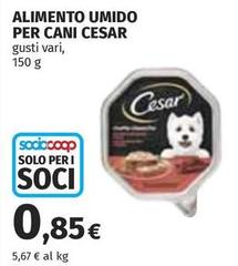 Cesar - Alimento Umido Per Cani