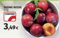 Susine Rosse