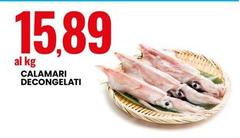 Calamari Decongelati