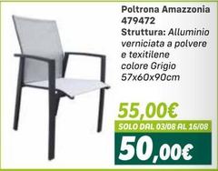 Amazzonia - Poltrona 479472