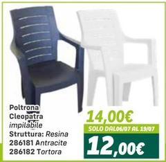 Tortora - Poltrona Cleopatra