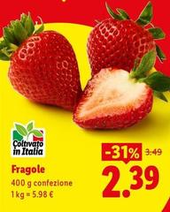 Fragole