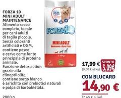 Forza 10 -  Mini Adult Maintenance