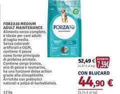 Forza 10 - Medium Adult Maintenance