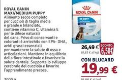 Royal Canin - Maxi/Medium Puppy