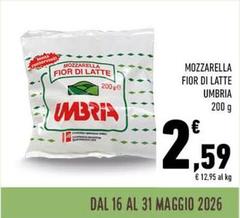 Umbria - Mozzarella Fior Di Latte