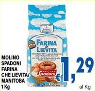 Molino spadoni - Farina Che Lievita/Manitoba