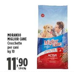 Morando -  Miglior Cane
