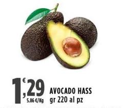 Avocado Hass