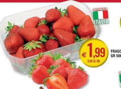 Frangolo
