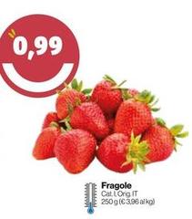 Fragole