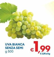 Uva Bianca Senza Semi
