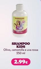 Shampoo
