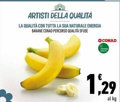 Energia - La Qualità Con Tutta La Sua Naturale  Banane Percorso Qualità Sfuse