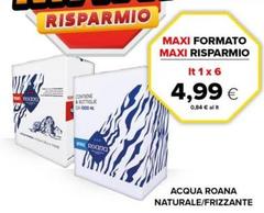 Maxi - Acqua Roana Naturale/frizzante