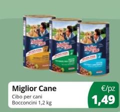 Cibo Per Cani Bocconcini