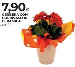 Gerbera Con Coprivaso In Ceramica