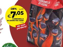 Coop - Carbonella Di Legno Fsc