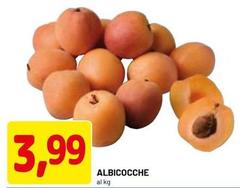 Albicocche