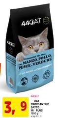 Croccantino Gatto